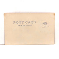 Glimpse Of Sky, Old Cyanotype RPPC