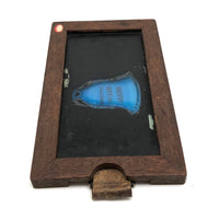 Antique Magic Lantern Slip Slide, My Own Blue Bell(e)