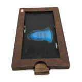 Antique Magic Lantern Slip Slide, My Own Blue Bell(e)