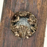 Old Hand-carved Wooden Mold for Lead Shot, Still Filled