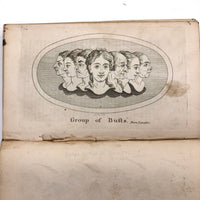 Lavater's Essays on Physiognomy, London, 1797, Vol. 1, Loaded with Engravings