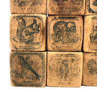 Early US Embossing Co. Alphabet and Animal Blocks
