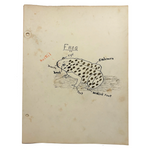 L.M Everson's c. 1930s School Biology Binder with Charming Diagrams, Drawings, Notes