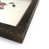 19th C. Theorem Watercolor of Butterfly in Antique Carved Folk Art Frame