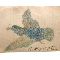 Kingfisher, 1905 Ink and Crayon Drawing by J.H. Adair, Spring Grove, PA