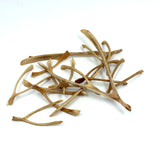 Collection of 12 Old Lucky Wishbones, Found in PA