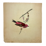 Purple Finch on Pine Cone Dotted Branch, Lovely Antique Watercolor