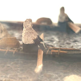 Arctic Boats with Carved Figures and Moss Covered Shore, C. 1920s-30s Diorama in Handmade Wood and Glass Vitrine