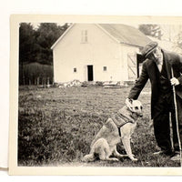 Quizzical Older Man with German Shepherd and Tall Stick, Vintage Velox Snapshot