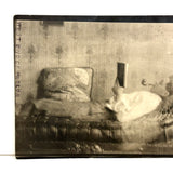 "Some Bunch of Laziness," Young Man with Pipe on Chaise Reading, Dreamy Antique RPPC