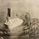 "Some Bunch of Laziness," Young Man with Pipe on Chaise Reading, Dreamy Antique RPPC