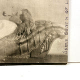 "Some Bunch of Laziness," Young Man with Pipe on Chaise Reading, Dreamy Antique RPPC