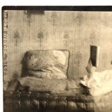 "Some Bunch of Laziness," Young Man with Pipe on Chaise Reading, Dreamy Antique RPPC