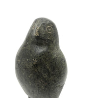 Proud and Soulful Inuit Carved Soapstone Owl