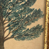 Charter Oak, Earlier 19th Century Folk Art Watercolor in Original Lemon Gold Frame with Provenance (Almon Babcock, Ravenna, Ohio)