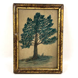 Charter Oak, Earlier 19th Century Folk Art Watercolor in Original Lemon Gold Frame with Provenance (Almon Babcock, Ravenna, Ohio)