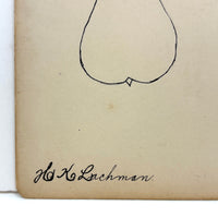 H.K Lachman's Pear and Apple, Antique Ink Drawing on Card