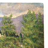 Lush Green Valley: Meticulously Painted, Very Charming c. 1920s-40s Oil on Board Vermont Landscape