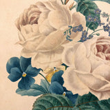 Fine 19th C. Watercolor of Rose and Pansy Bouquet