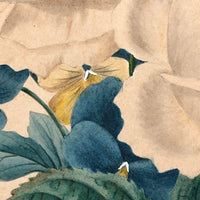 Fine 19th C. Watercolor of Rose and Pansy Bouquet