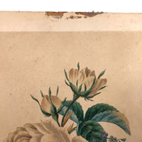 Fine 19th C. Watercolor of Rose and Pansy Bouquet