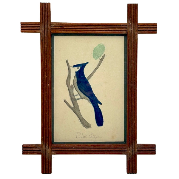 Blue Jay, Lovely c. 1900 Framed Watercolor