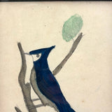 Blue Jay, Lovely c. 1900 Framed Watercolor