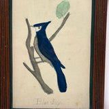 Blue Jay, Lovely c. 1900 Framed Watercolor