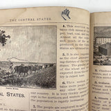 Warren's Primary Geography, 1886, with Animal Silhouettes End Paper Drawing