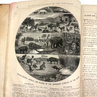 Warren's Primary Geography, 1886, with Animal Silhouettes End Paper Drawing