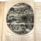 Warren's Primary Geography, 1886, with Animal Silhouettes End Paper Drawing