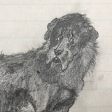19th C. Graphite School Drawings Lot #1: Dogs