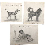 19th C. Graphite School Drawings Lot #1: Dogs
