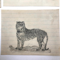 19th C. Graphite School Drawings Lot #2: Wild Animals