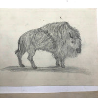 19th C. Graphite School Drawings Lot #2: Wild Animals