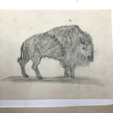 19th C. Graphite School Drawings Lot #2: Wild Animals