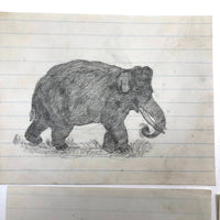 19th C. Graphite School Drawings Lot #2: Wild Animals
