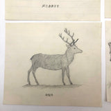 19th C. Graphite School Drawings Lot #3: Captioned  Animals no