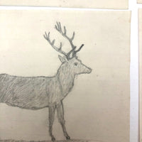 19th C. Graphite School Drawings Lot #3: Captioned  Animals no