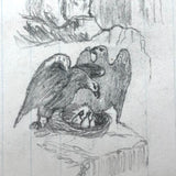 19th C. Graphite School Drawings Lot #4: Cat with Fan, Boat, Eagle's Nest