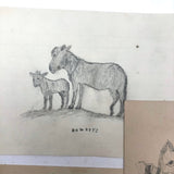 19th C. Graphite School Drawings Lot #4: Cat with Fan, Boat, Eagle's Nest