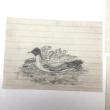 19th C. Graphite School Drawings Lot #5: Birds