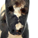 Fabulous Old Carved, Painted Folk Art Horse with Bristle Mane and Tail