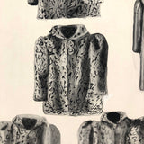 Four and a Half Coats! Vintage Inkwash Drawing on Card with Another on Reverse