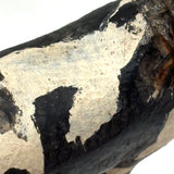 Fabulous Old Carved, Painted Folk Art Horse with Bristle Mane and Tail