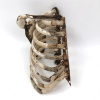 Antique Japanese Wood and Papier Mache Rib Cage Section from Anatomical Model
