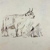 Many Faces in Profile, Wonderful c. 1880s Naive Graphite Drawing, with Inked Cow on Reverse!