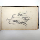 19th Century Presumed Grand Tour Sketchbook with Charming Drawings of Tombs and Ruins and More