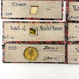 Scarlet Runner, Pith of Elder, Buffalo Horn: Beautiful Set of 18 Victorian Handmade Slides