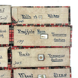 Scarlet Runner, Pith of Elder, Buffalo Horn: Beautiful Set of 18 Victorian Handmade Slides